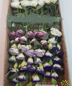 گل مصنوعی AFM126 Artificial Flower