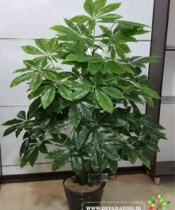 گل مصنوعی AFM157 Artificial Flower