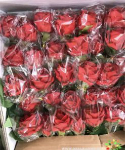 گل مصنوعی AFM159 Artificial Flower
