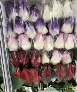 گل مصنوعی AFM162 Artificial Flower