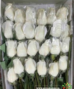 گل مصنوعی AFM163 Artificial Flower