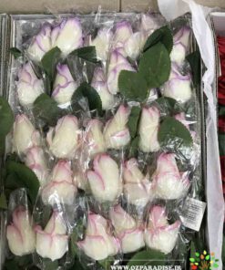 گل مصنوعی AFM165 Artificial Flower