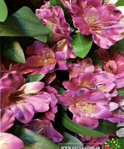 گل مصنوعی AFM177 Artificial Flower