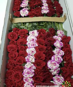گل مصنوعی AFM180 Artificial Flower
