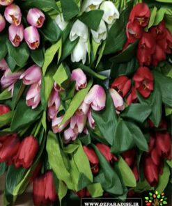 گل مصنوعی AFM184 Artificial Flower