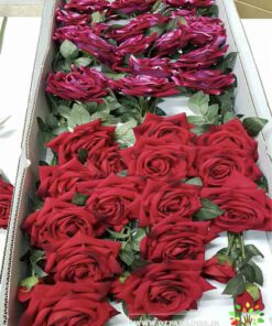 گل مصنوعی AFM194 Artificial Flower
