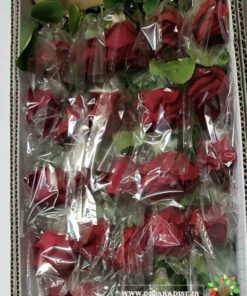 گل مصنوعی AFM214 Artificial Flower