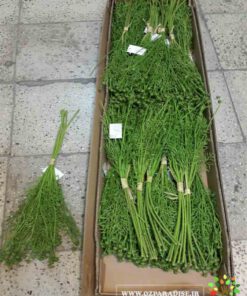 گل مصنوعی AFM225 Artificial Flower