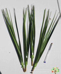 گل مصنوعی AFM34 Artificial Flower