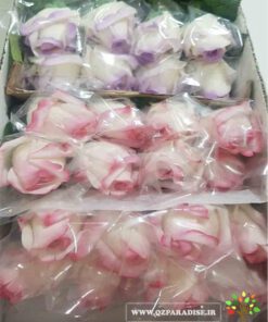 گل مصنوعی AFM71 Artificial Flower