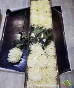 گل مصنوعی AFM76 Artificial Flower