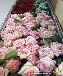 گل مصنوعی AFM80 Artificial Flower
