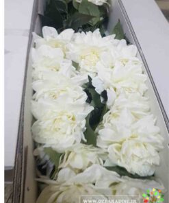 گل مصنوعی AFM96 Artificial Flower