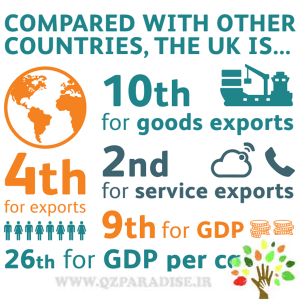 معرفی_تولید کنندگان_پارادایس
