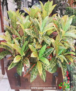 گل مصنوعی AFN45 Artificial Flower