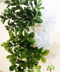گل مصنوعی AFN6 Artificial Flower