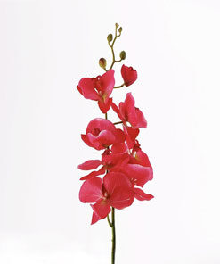 گیاهان گلدار مصنوعی