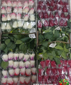 گل مصنوعی AFJ76 Artificial Flower