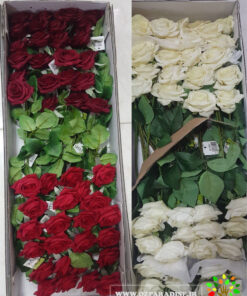 گل مصنوعی AFJ79 Artificial Flower