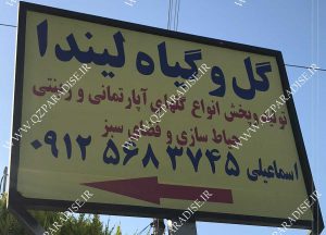 گل و گیاه لیندا