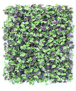 دیوار سبز مصنوعی