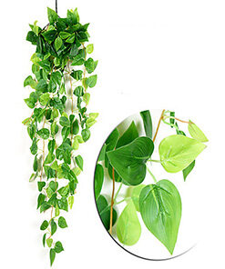 گیاه رونده مصنوعی