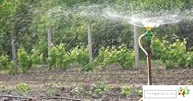 خاک و آبیاری