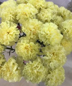 تک شاخه مصنوعی AFA148 Artificial Flower