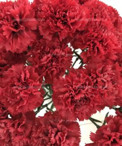 تک شاخه مصنوعی AFA149 Artificial Flower