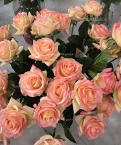 تک شاخه مصنوعی AFA62 Artificial Flower