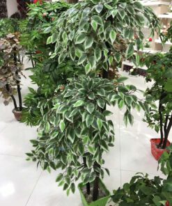 درختچه مصنوعی AFA25 Artificial shrubs