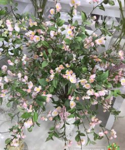 شکوفه مصنوعی AFA20 Artificial bloom