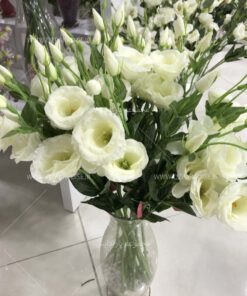 بوته مصنوعی گلدار AFA347 Artificial Bushes