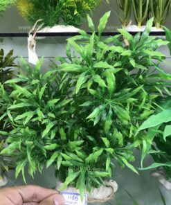 گیاه مصنوعی آکواریوم PA78 Plant Aquarium