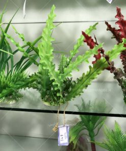 گیاه مصنوعی آکواریوم PA89 Plant Aquarium