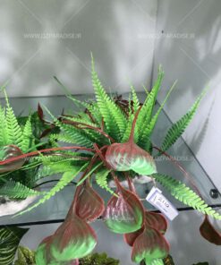 گیاه آبزی مصنوعی PA102 Plant Aquarium