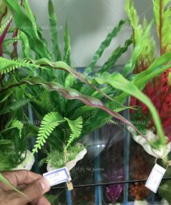 گیاه مصنوعی آکواریوم PA137 Plant Aquarium