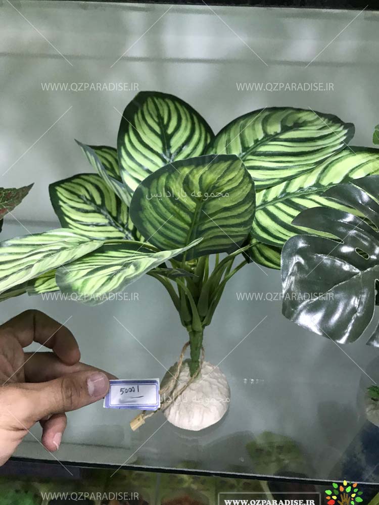 گیاه آکواریومی مصنوعی در تنوع رنگی مختلف و کیفیت عالی به صورت کلی در فروشگاه ملی پارادایس گل 