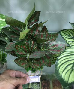 گیاه مصنوعی آکواریوم PA142 Plant Aquarium
