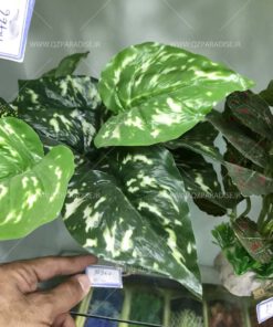 گیاه مصنوعی آکواریوم PA143 Plant Aquarium