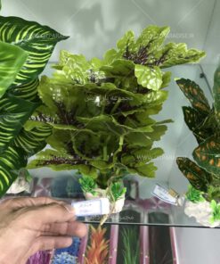 گیاه مصنوعی آکواریوم PA146 Plant Aquarium