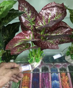 گیاه مصنوعی آکواریوم PA148 Plant Aquarium