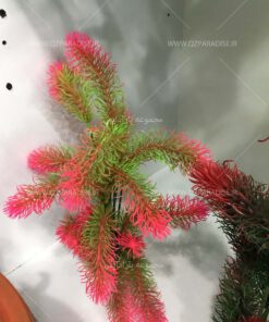 گیاه مصنوعی آکواریوم PA159 Plant Aquarium
