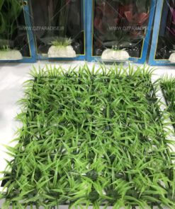 گیاه مصنوعی آکواریوم PA171 Plant Aquarium