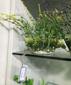 گیاه مصنوعی آکواریوم PA31 Plant Aquarium