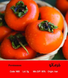 بذر خرمالو