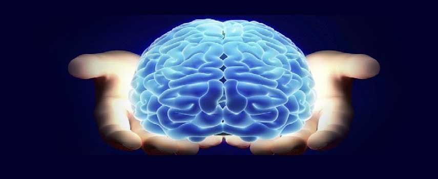 فیزیولوژی اعصاب و غدد