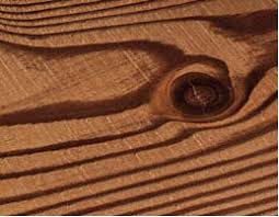 نمایی از چوب کاج مورد استفاده در صنایع چوب