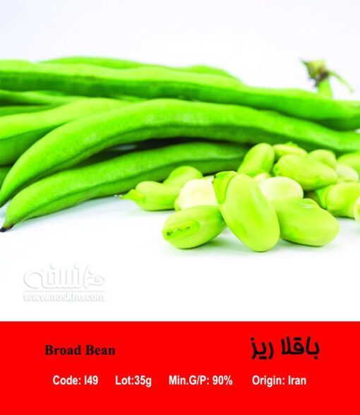 بذر باقلا ریز Broad Bean