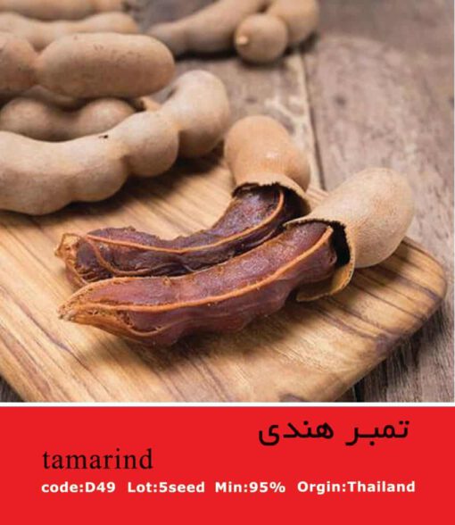 بذر گیاه تمبر هندی Tamarind